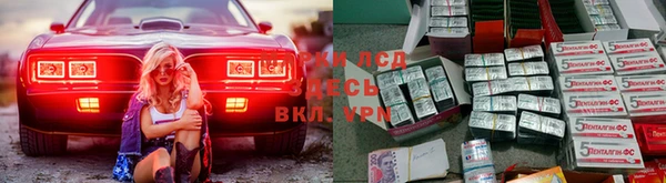 эйфоретик Пересвет