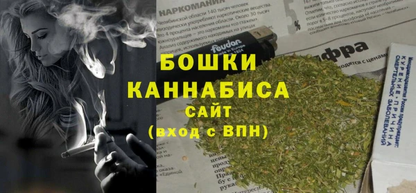 эйфоретик Пересвет