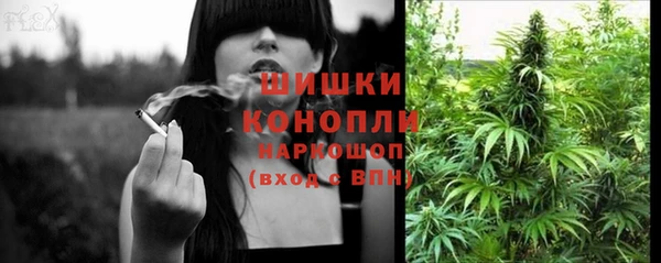 эйфоретик Пересвет