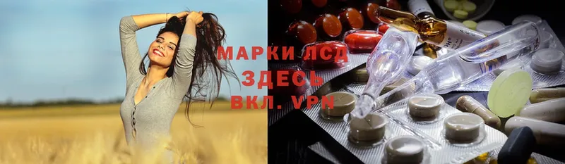 купить закладку  кракен ссылки  LSD-25 экстази кислота  сайты даркнета какой сайт  Арамиль 